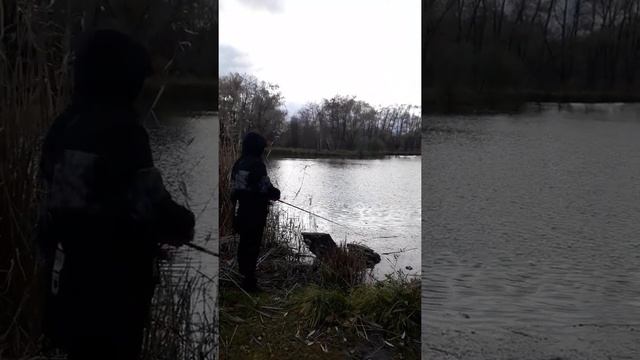 Рыбалка в Петергофе, заброс.