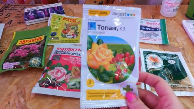 Препараты от вредителей, которые использую я, для своих цветов!!! смотреть онлайн