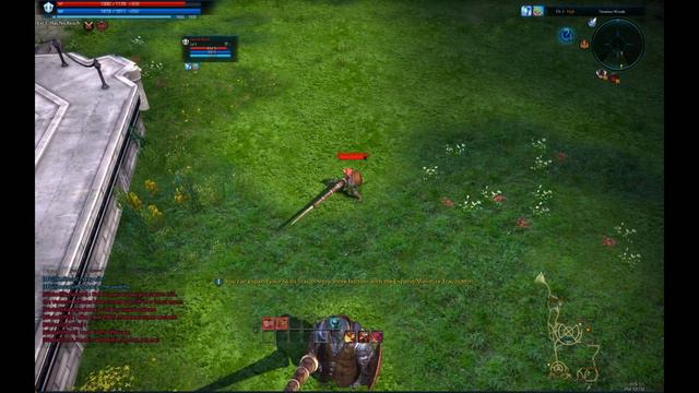 TERA Race Imbalances. смотреть онлайн