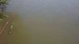 Рыбалка в Ленинске