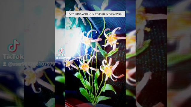 8 февраля 2024 г.В моем окне стократно умножается красота цветов смотреть онлайн