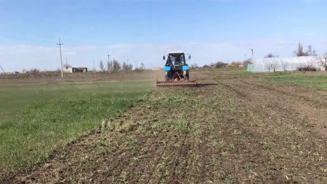 Культиватор вертикально фрезерный в работе. смотреть онлайн