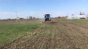 Культиватор вертикально фрезерный в работе.