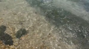 ТАЙЛАНД, Остров Самет. Лучший наш резорт на Ao Prao! Обзор пляжа и самый дорогой ужин на Самете)