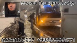 Москва Ташкент Одам Ташиш Хизмати #москва #ташкент #автобус #такси