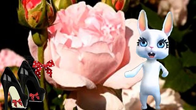 С Татьяниным днем, поздравление с днем Татьяны, поздравления и пожелания смотреть онлайн