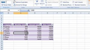 AM 4111 Apply a table style to a cell range Microsoft Excel 2007 ECDL Advanced ITQ3