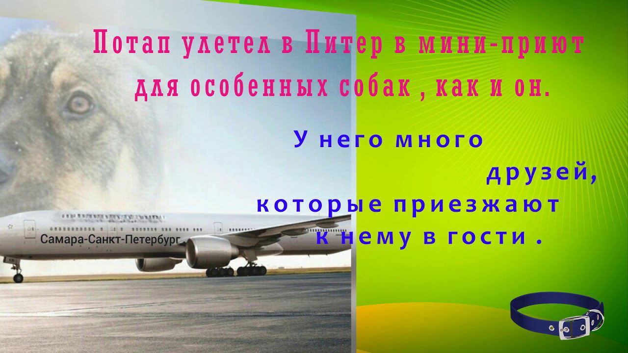 История Потапа...
