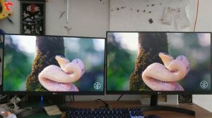 monitor 21.5 inch vs 23.5 inch  Size Comparison