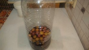 Как посадить и вырастить зеленый лук зимой на подоконнике.Лук на перо