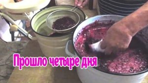 ВИНО из ЧЕРНОЙ СМОРОДИНЫ - ВКУСНЫЙ РЕЦЕПТ