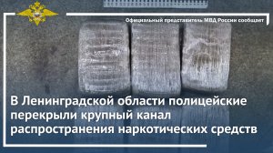 В Ленинградской области полицейские перекрыли крупный канал распространения наркотических средств