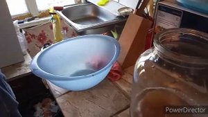 Уход за чайным грибом.