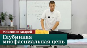 Глубинная миофасциальная цепь. Максимов Андрей