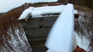Картечь 6.2 отстрел 20 , 35 метров Сайга 20С