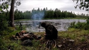 Жареная картошка с грибами. Витькина кухня