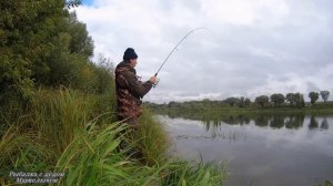 ОТВОДНОЙ ПОВОДОК.  СЛАГИ  ЛАРВА и МИНОШКА. Рыбалка на ОКЕ в начале октября.