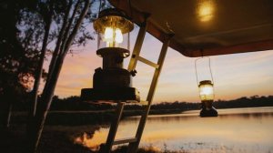 Музыка для сна: Сверчки | Цикады | Расслабляющая музыка | 8 часов 48 минут (Глубокий сон)