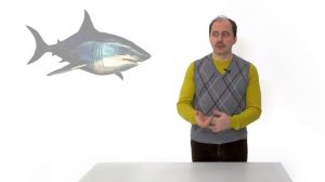 41. Природные сообщества. Часть 1