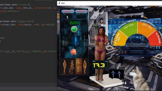 BMI CALCULATOR PROGRAM IN PYTHON смотреть онлайн
