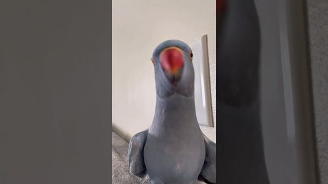 Вот так смотреть онлайн