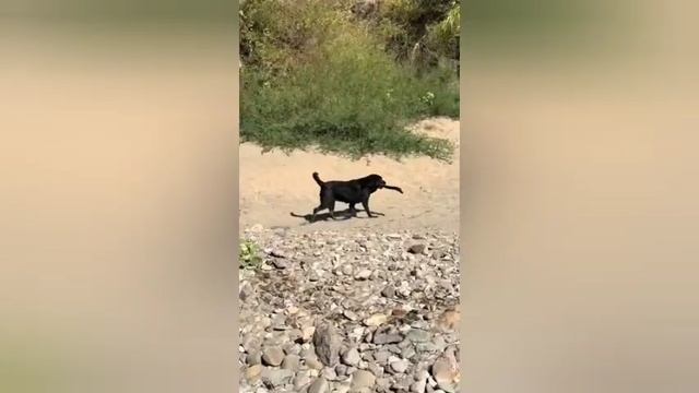 В БОЛЬШОЙ СЕМЬЕ "КЛЮВОМ" НЕ ЩЁЛКАЮТ??????????????