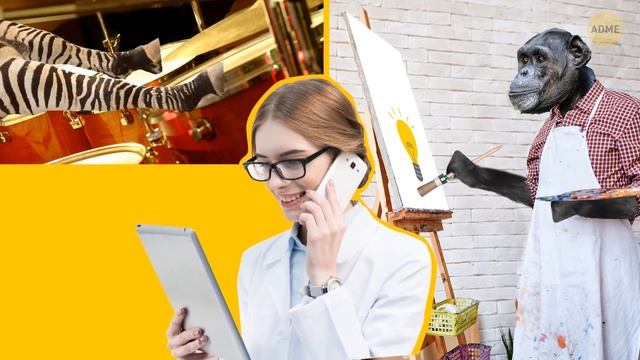 Что, если все млекопитающие станут разумными?