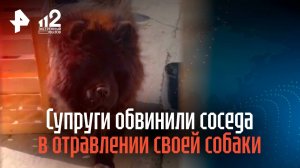 Супруги обвинили соседа в отравлении своей собаки