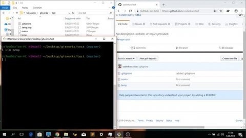 GitIgnore file not working, why??? (Solved)