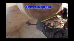 Компания Сибирский лес