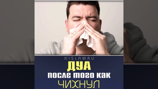 Дуа после того как чихнул смотреть онлайн