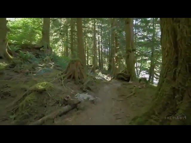 Эдгар Кейси Хроники Акаши смотреть онлайн