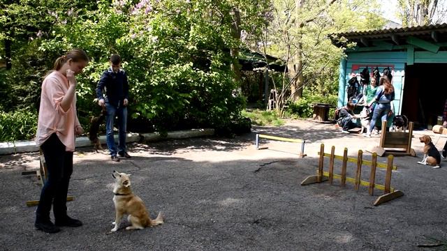 Аня Ваховская: "Мы с Сонни ждём финала и верим в победу!" г. Черноморск смотреть онлайн