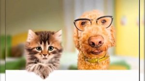 Поздравляем Даню с днём рождения!