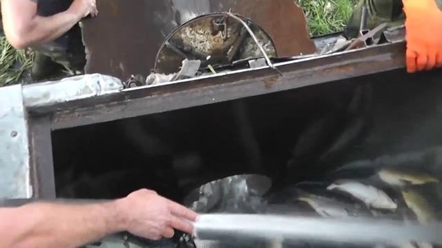Очередное зарыбление Степановка Курская область