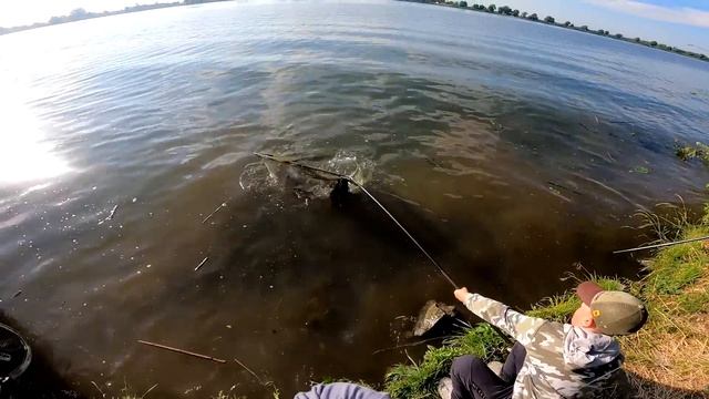 РЫБАЛКА НА КАРПА подводная съёмка смотреть онлайн