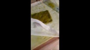 КАК ДЕЛАТЬ БУМАГУ ИЗ ТРАВЫ