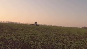 Подкормка зимующего гороха - 2020