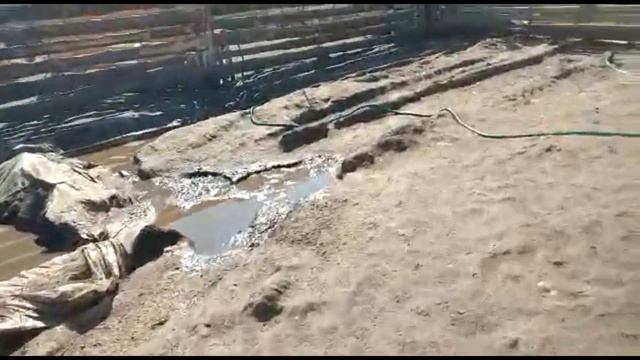 Жизнь в деревне. Знакомство детей с домашними животными смотреть онлайн