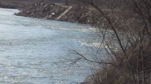 Река Лаба Краснодарский край