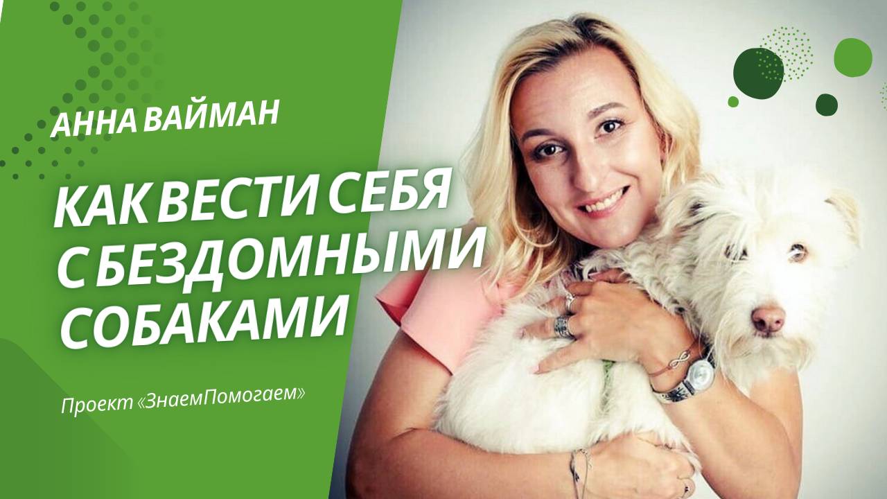 Анна Вайман: Как вести себя при встрече с бездомными собаками