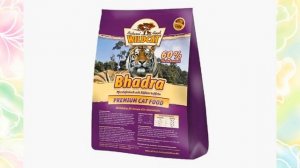 Никакого вискаса: 9 лучших кормов для кошек