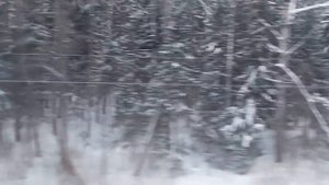 Ч5: Галич - Кострома: Москва - Великий Устюг - Кострома - Москва из туристического поезда №934Щ.