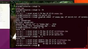 Курс 1 - 3 Основы технической поддержки. В чем заключается работа специалиста по IT поддержке
