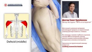 Сухая игла. Deltoid middle . ДЕЛЬТОВИДНАЯ МЫШЦА. Безопасная постановка иглы.