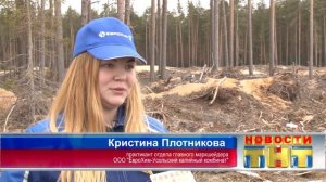 "ЕвроХим-УКК" помогает восстанавливать сосновый бор в Усольском районе