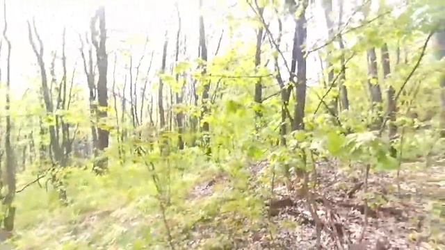 когда жена говорит у тебя есть 3 часа... кто то идет за пивом а я на коп!EQUINOX 600 в лесу и поле. смотреть онлайн