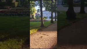 Обзор на канал "Щепотка юмора ": Как Щепотка подругу встречала и другое с Телеграм
