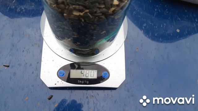 Зважування натури соняшника : Сузука , Суомі , LG59580 ,Дует КЛ ,НСХ498. смотреть онлайн