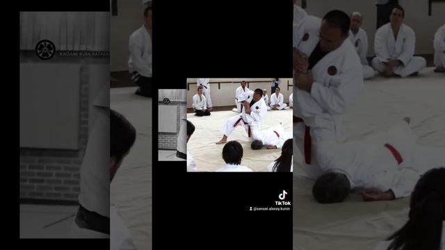 International Traditional Japanese Ju-Jitsu Seminar in Romania 🇷🇴 Katabami Ju-Jitsu Clan